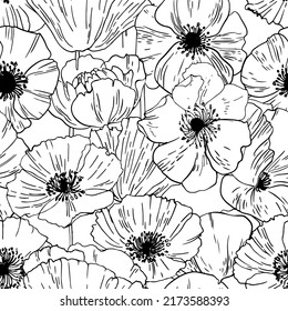 Poppies Pattern Flowers vector. Drawn line on a white background. Flowers for the memorial. Remembrance day. 