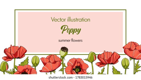 poppies red flowers leaves vector illustration greeting cards flyers wedding invitation