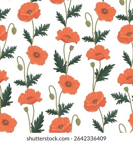 Poppies seamless vector pattern. Bright various poppies in flat style on white background.