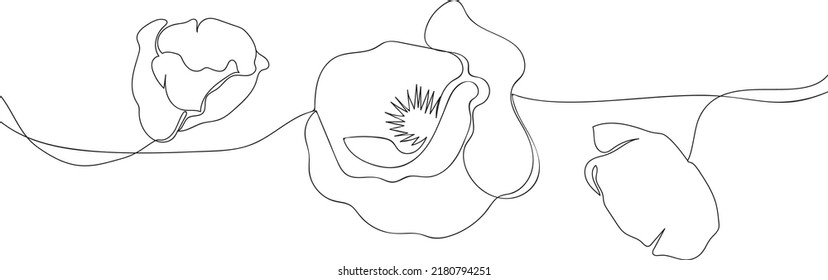 Poppies in single continuous line drawing style for logo or emblem. Border with  flowers in outline drawing. Modern simple vector illustration. Vector minimalist linear illustration