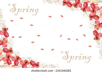 poppies in spring on a white background