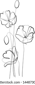 poppies stylized graphic black and white contour