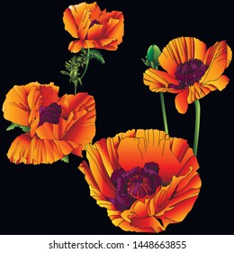 Poppies - though simple, but magical in appearance flowers.
