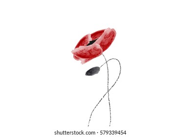 poppies vector