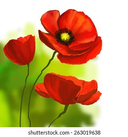 poppies vector illustration  hand drawn  painted watercolor 