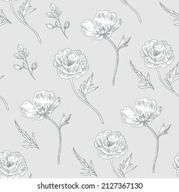 Cachorros. El vector es un fondo transparente en estilo vintage. Patrón de planta. Dibujo botánico.