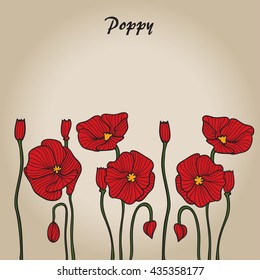 Poppies vector sketch. Background for design