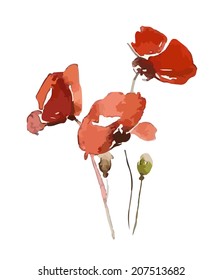 Poppy 