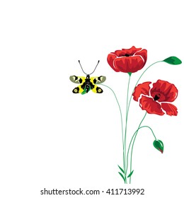 poppy