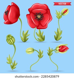 amapola 3d. 3.d conjunto de elementos de iconos vectoriales de dibujos animados