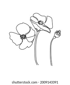 17,628 Wildflower line drawing Images, Stock Photos & Vectors ...