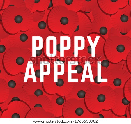 Poppy appeal red poppies vector
