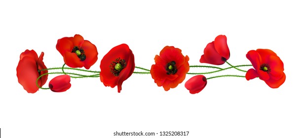 Poppy. Beautiful bright realistic flowers of red color on a white background. Vector illustration.