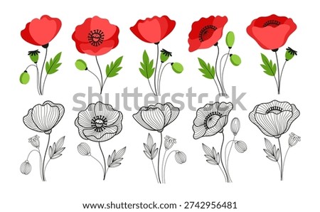 Poppy Bouquet Elements Collection in Line Art and Color, Hand-Drawn Floral Compositions for Logo, Invitations, Branding and Decorative Design, Branding, etc in a vector illustration
