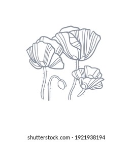 Poppy. Bouquet with flowers and buds. Vector illustration in hand-drawn style. Good for logo or greeting card. Line art.