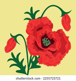 Poppy with buds isolated on a light yellow background. Vector illustration for printing on postcards, printing products, fashion.
