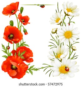 Poppy and Camomile design elements