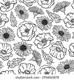 POPPY AND CAMOMILE Monochrome Floral Sketch With Flower Grass And Bud On White Background Botanic Cartoon Seamless Pattern Vector Illustration For Print