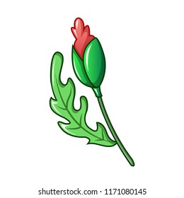Poppy capsule icon. Cartoon of poppy capsule vector icon for web design isolated on white background