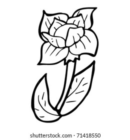 desenho animado de papoula
