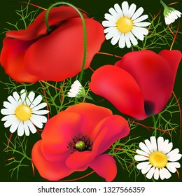 Poppy. Chamomile. Beautiful bright realistic flowers of red color on a white background. Happy Mother's Day Template.. Greeting card. Springtime. Vector illustration. Seamless background.