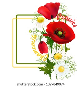 Poppy. Chamomile. Beautiful bright realistic flowers of red color on a white background. Happy Mother's Day Template.. Greeting card. Springtime. Vector illustration.