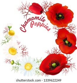 Poppy. Chamomile. Beautiful bright realistic flowers of red color on a white background. Happy Mother's Day Template.. Greeting card. Springtime. Vector illustration.