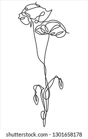 Poppy. Continuous line - Vector