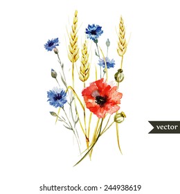 poppy, cornflower, wheat, watercolor, bouquet