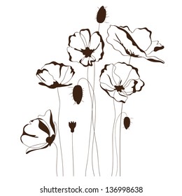 Poppy design, flowers contour drawing, monochrome silhouette