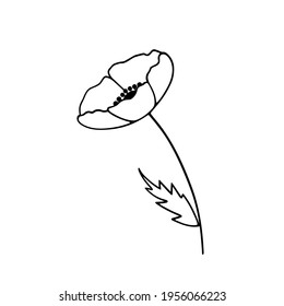 Poppy.  Doodle. Isolated element on white background. The outline of a flower. Papaver. Eps 10 