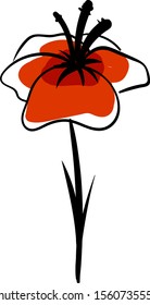 Poppy drawing, illustration, vector on white background.