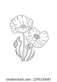 Icono de la amapola. Aislado sobre fondo blanco. Dibujo de Dooodle. Diseño floral. Arte de línea.