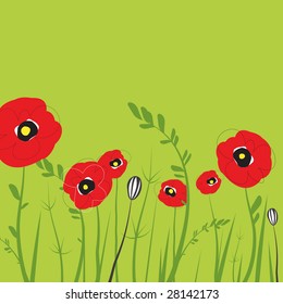 poppy field