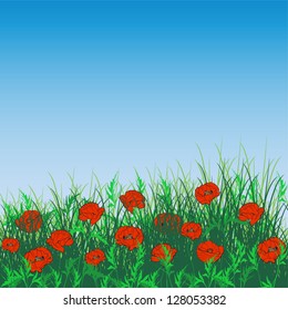Poppy field background