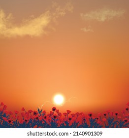 Poppy field at sunset. Beautiful red flowers under the majestic orange sky with light fleecy clouds on it. Peaceful landscape vector art.