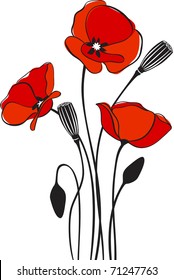 Poppy floral background