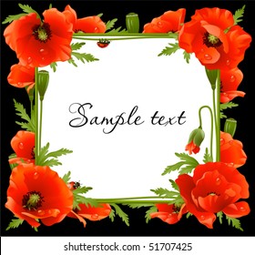 Poppy Floral Frame