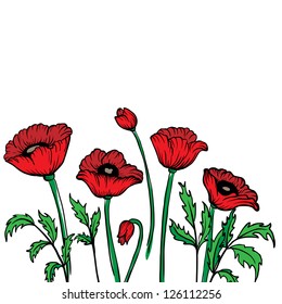 Poppy flower