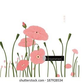 Poppy flower 