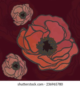 The poppy flower