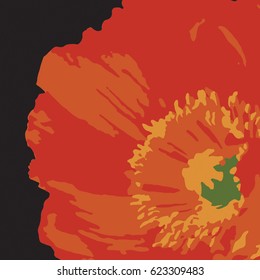 poppy flower