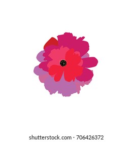 Poppy flower