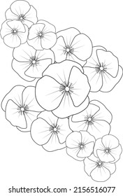 poppy flower coloring pages line art