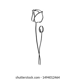 Poppy Flower continuous line drawing. Vector abstract Plant in a Trendy Minimalist Style. For the design of Logos, Invitations, posters, Postcards, prints on t-Shirts.