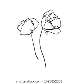Poppy Flower continuous line drawing. Vector abstract Plant in a Trendy Minimalist Style. For the design of Logos, Invitations, posters, Postcards, prints on t-Shirts.