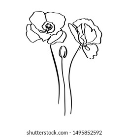 Dibujo continuo de la línea de la flor de amapola. Planta abstracta vectorial en un estilo minimalista moderno. Para el diseño de logotipos, invitaciones, carteles, postales, impresiones en Pantalones-t.