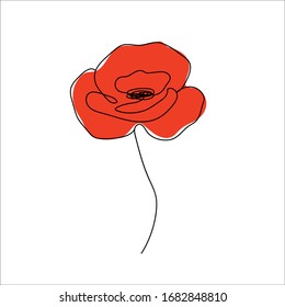 Red Poppies Pencil Drawing High Res Stock Images Shutterstock