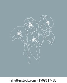 Poppy flower continuous line illustration. pen drawing. white wildflowers. abstract flowers.