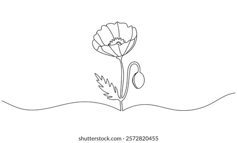 Poppy flower continuous one line drawing, Poppy flowers in continuous line art drawing style. Doodle floral border with two flowers blooming among grass.